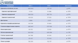 Рынок глубокой переработки зерна в России: итоги 2025 года
