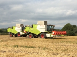 Техника CLAAS обеспечивает до 30% рентабельности при возделывании озимых пшеницы и рапса