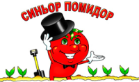 ТПК "КРОВСТРОЙ", ООО