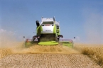 Claas Lexion 770